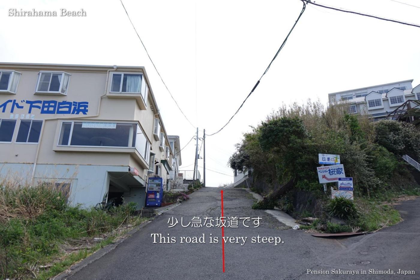 ペンション桜家 Hotel Shimoda  Luaran gambar