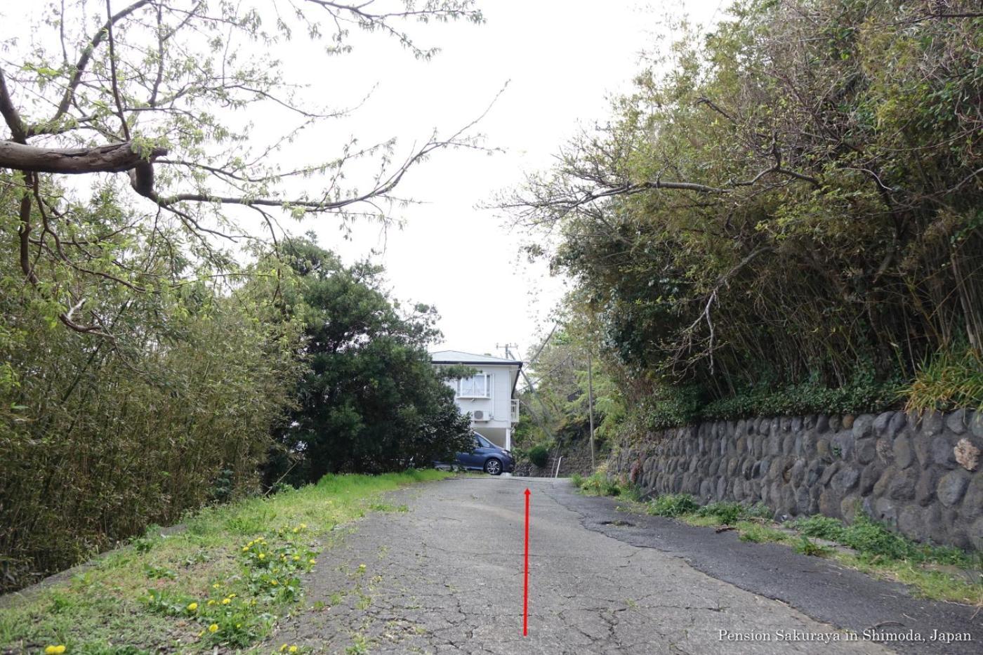 ペンション桜家 Hotel Shimoda  Luaran gambar